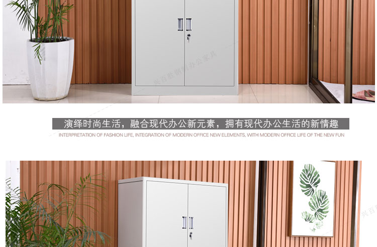深圳雙分節(jié)文件柜實(shí)拍圖，興百勝文件柜廠家