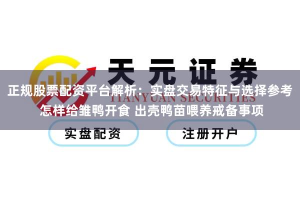 正规股票配资平台解析：实盘交易特征与选择参考 怎样给雏鸭开食 出壳鸭苗喂养戒备事项