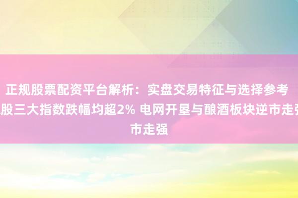 正规股票配资平台解析：实盘交易特征与选择参考 A股三大指数跌幅均超2% 电网开垦与酿酒板块逆市走强
